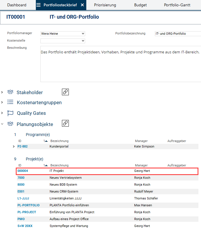Portfoliosteckbrief_IT_Projekt.png